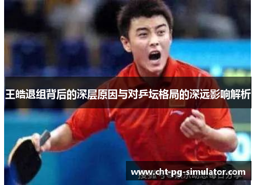 王皓退组背后的深层原因与对乒坛格局的深远影响解析